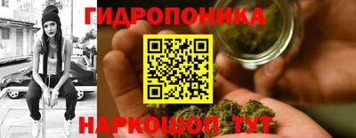 PSILOCYBIN Новокубанск